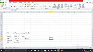 How to Calculate Return On NetWorth,RoNW.