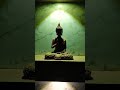 RESET PERCEPTION..