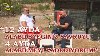 12 Ayda Alabileceğiniz Yavruyu 4 Ayda Alabilmeyi Vadediyorum - Kuşçu