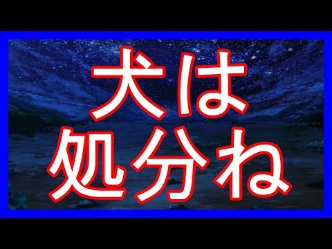 体験談：犬は処分ね 衝撃