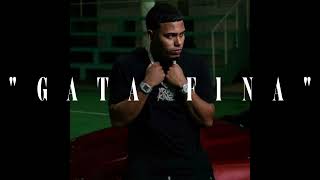 (FREE) Myke Towers x Blessd Reggaeton Type Beat - 'Gata Fina'