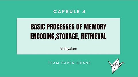 C4: Memory|Basic Processes of Memory|Encoding Storage Retrieval| Psychology |Study Psychology