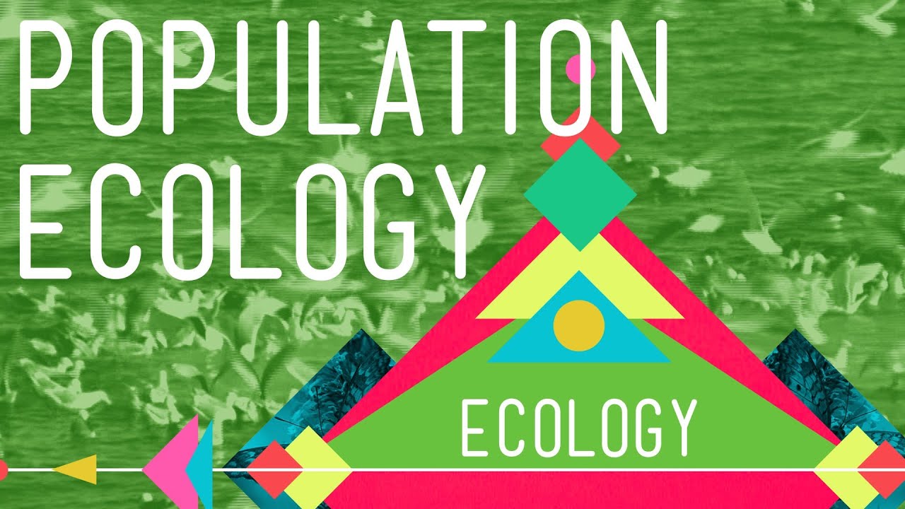 ⁣Population Ecology: The Texas Mosquito Mystery - Crash Course Ecology #2