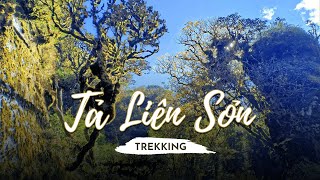 Trekking Tả Liên Sơn | Chinh Phục Đỉnh Núi Trong Mưa | Trekking - Leo Núi | Duy Ánh