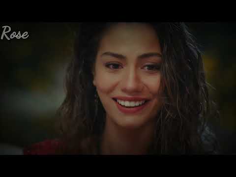 اغنية هاني شاكر حبيبي حياتي    