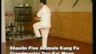 Kung fu demo 4 Doc Fai Wong