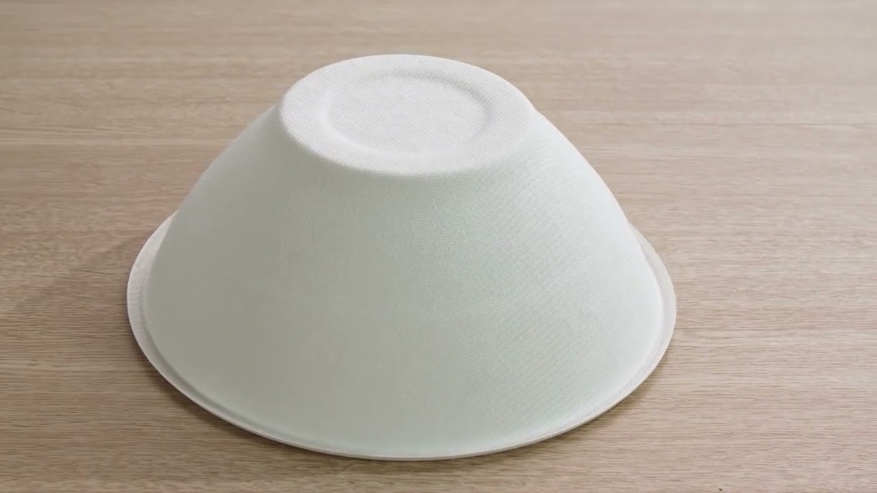 Food-Grade Sugarcane Bagasse Dinner Plate Compostable Tableware