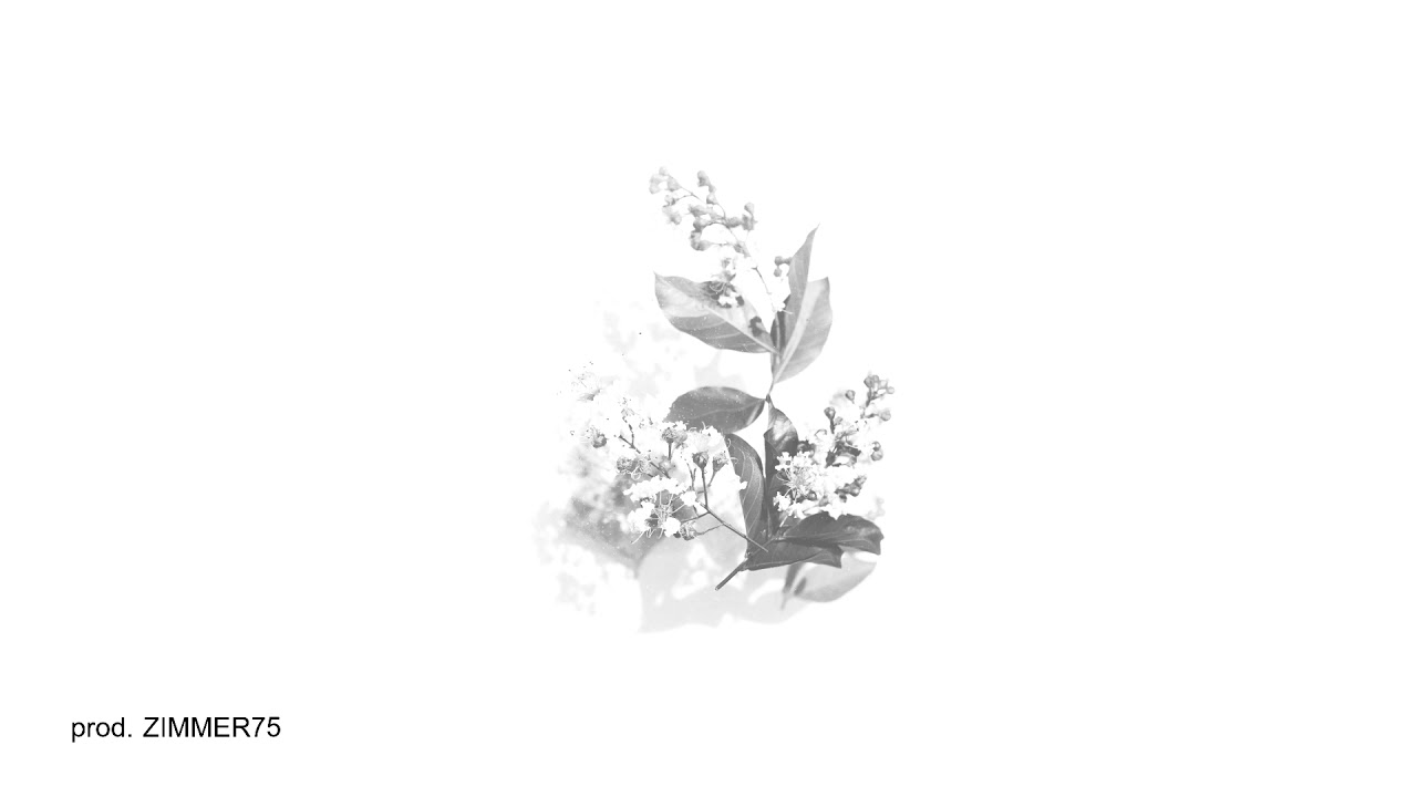 (FREE) LIL WAYNE TYPE BEAT/INSTRUMENTAL 2018 - FAREWELL (prod. ZIMMER75)