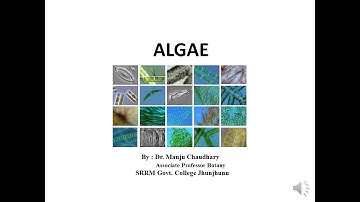 Algae // General Characteristics // Dr. Manju Chaudhary