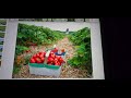 The Strawberry Patch | DumbBells Time