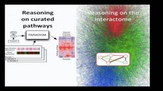 Download lagu 16 Protein Interaction Networks 16 Protein Interaction Networks