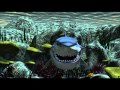Under Water Render Test (without Blueness)