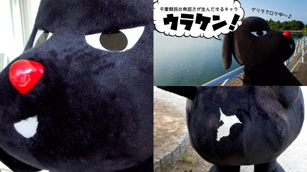 千葉県非公認ゆるキャラ ウラケン ブレイクなるか こちらホワイトロック 本館