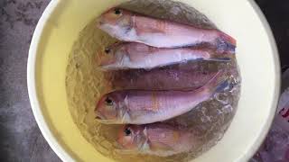 対馬早田流！産地証明とおもてなし。