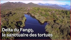 Le delta du Fango en Haute-Corse