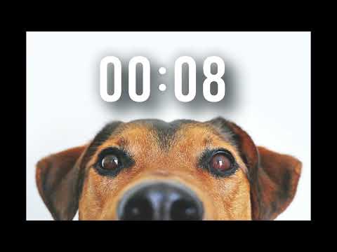 10 second timer with cheering at the end