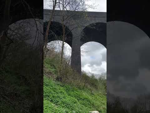 Tucking Mill Viaduct ♥️ #tuckingmill #tuckingmillviaduct #viaduct #uk #short #shortsviral  #everyone