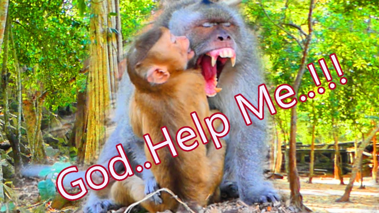 What Happened With Little Saro.?  Mom Sarika Burst Screaming For Help Cos She's afraid of this Guy..