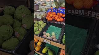 Yuma City Arizona State AZ Farmers Market this city is near Mexico and California Border