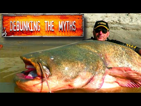 crazy fishing inventions that actually work 