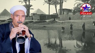 محمد السيد النزاوي - افراح بلدنا