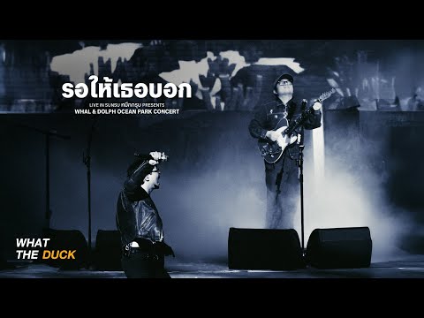 Whal & Dolph - รอให้เธอบอก (Mute) | SUNSU หมึกกรุบ Presents Whal & Dolph Ocean Park Concert
