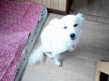 今帰ったよ～　留守番ありがとう