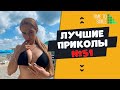 Смех до слез | Лучшие приколы 2020 АВГУСТ | Best Coub 2020 №51