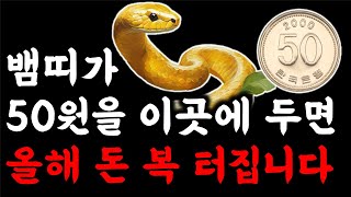 뱀띠 부자 됩니다 뱀띠는 부자가 되고 싶다면 50원 동전 이곳에 두세요 | 큰돈이 들어옵니다 2024년 대박…