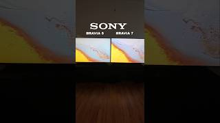 SONY BRAVIA 5 VS SONY BRAVIA 7 Which Is Best For You?