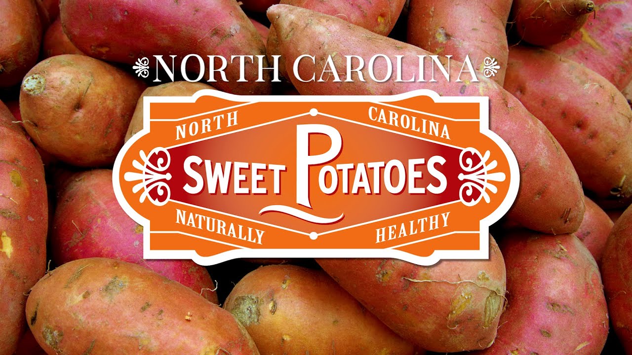 Introduction To Sweetpotatoes In North Carolina Youtube