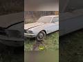 Buried Mustang miracle 😱 Classic car fans, you need to see this!(VIDEO CREDITS:@wddetailing)