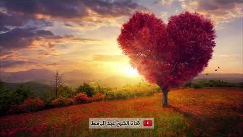 ما تيسر من سورة فاطر الشيخ عبد الباسط رحمه الله