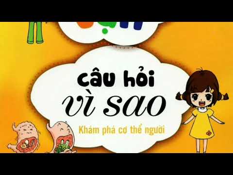 10 vạn câu hỏi vì sao - Con người  | Câu 226-250