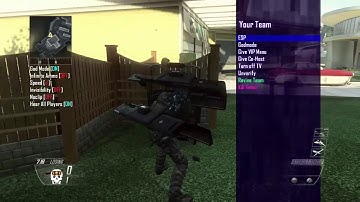 Bo2 Jiggy Mod Menu Showcase