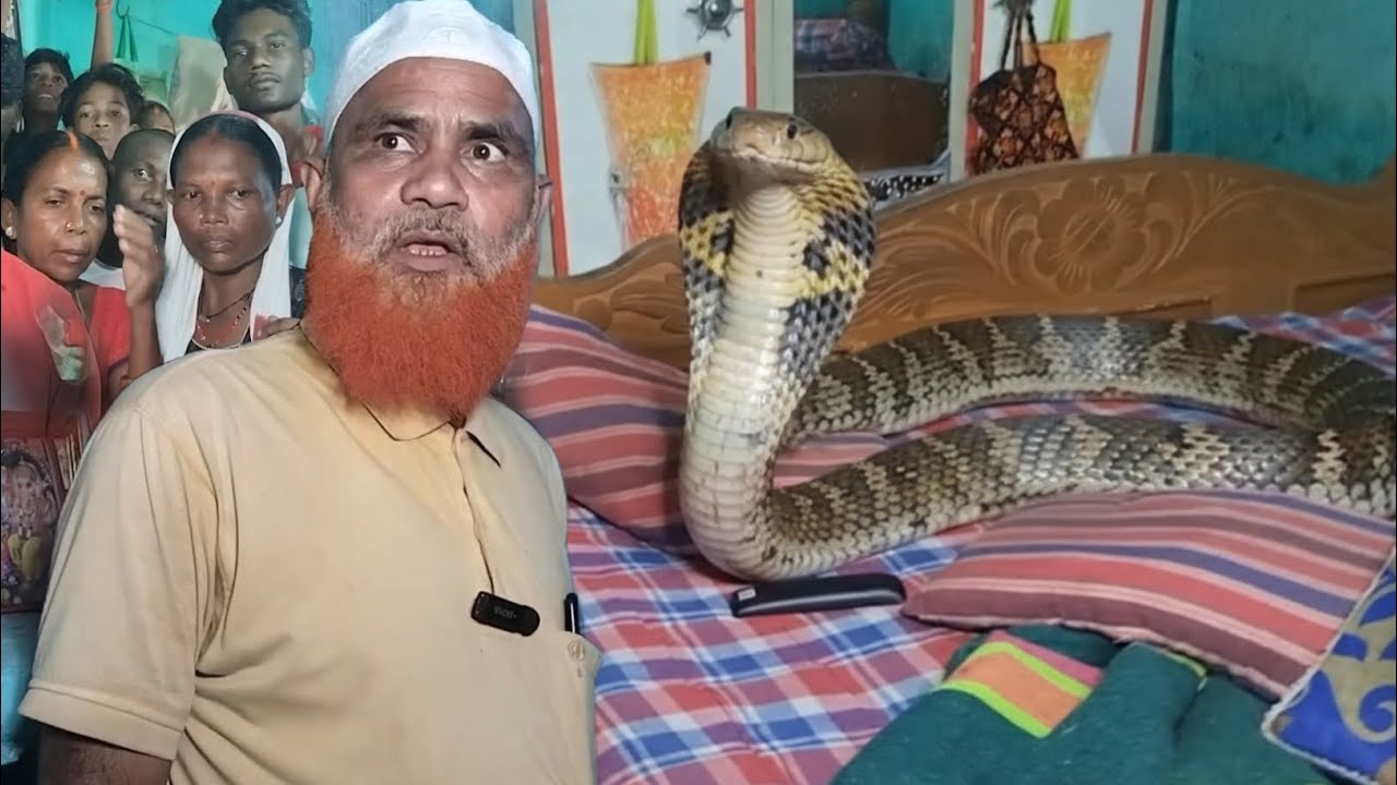 Indian Spectecal Cobra 😱 Rescue For Bhutkuru Tupkhadhi Bokaro Steel City Jharkhand 