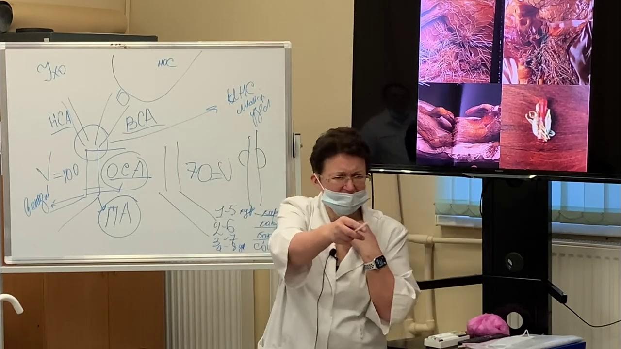 Метод шишова. Как восстановить поджелудочную. Метод шишова. Метод шишова. Целиус шишова.