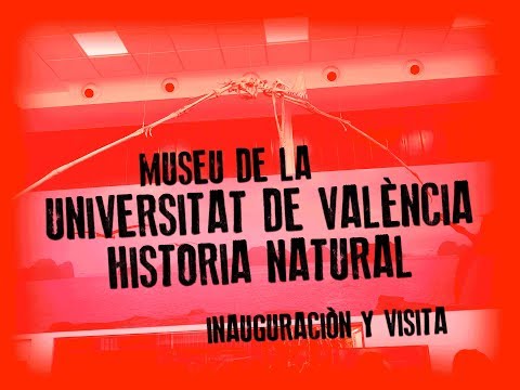 Vídeo: Guia per visitar el Museu d'Història de la Informàtica
