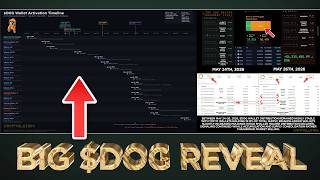 Big $DOG Reveal - #Binance Wallet Activations and Accumulation 💰