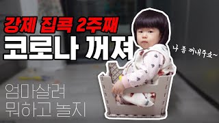 집콕 육아 브이로그 | 코로나꺼져 | 촉감놀이하고 | 약밥 만들고 | 지겹고 바쁜 육아 일상