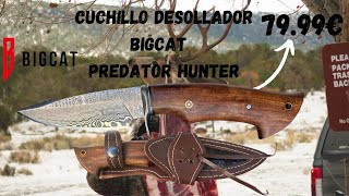 Bigcat Predator Hunter Damascus Skinner Knife | Unboxing and First Impressions 🗡️✨