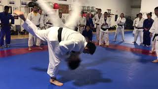 20190325 Kawakami Uchimata 1