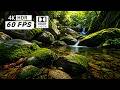 “Whispers of the Mountains | 4K HDR Cinematic Nature Escape” #4k #ai