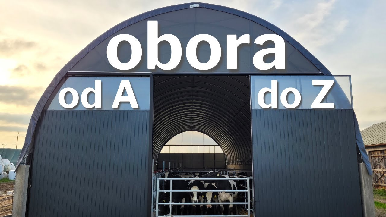 ARBENA | kompleksowa realizacja obory