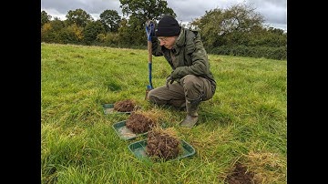 How to Take the Perfect Spade Soil Sample #2 - Which Sample is the Winner?