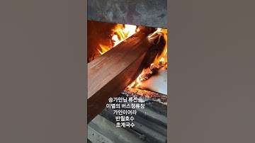 Thumbnail of 송가인님  #송가인  #송가인콘서트 #어게인  #군포시 #군포살아요 #수리산 #반월호수 #류산슬 #이별의버스정류장 #music #song #kpop #가인이어라  #고재영빵집