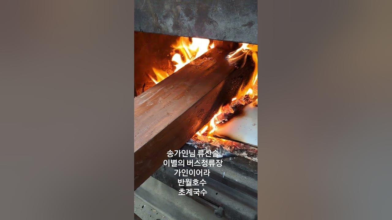 송가인님 #송가인 #송가인콘서트 #어게인 #군포시 #군포살아요 #수리산 #반월호수 #류산슬 #이별의버스정류장 #music #song #kpop #가인이어라 #고재영빵집 송가인님 #송가인 #송가인콘서트 #어게인 #군포시 #군포살아요 #수리산 #반월호수 #류산슬 #이별의버스정류장 #music #song #kpop #가인이어라 #고재영빵집