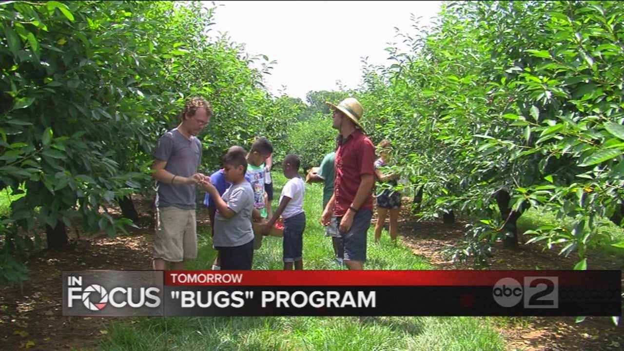 Baltimore Urban Gardening With Students Teaser Youtube