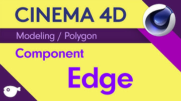 복쌤의 시포디 스터디 ( Modeling / Polygon /Edge )