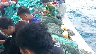 Download Lagu 🔴 LIVE Semangat para pejuang rupiah 🌊 MP3